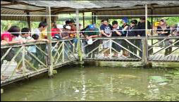 sarawak cultural village