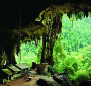 mulu cave