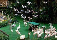 jurong bird park singapore