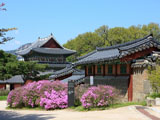 Seoul tour package
