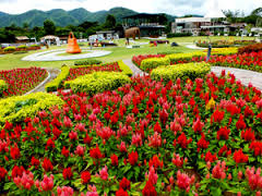 bangkok land tour