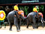 bangkok pattaya tour